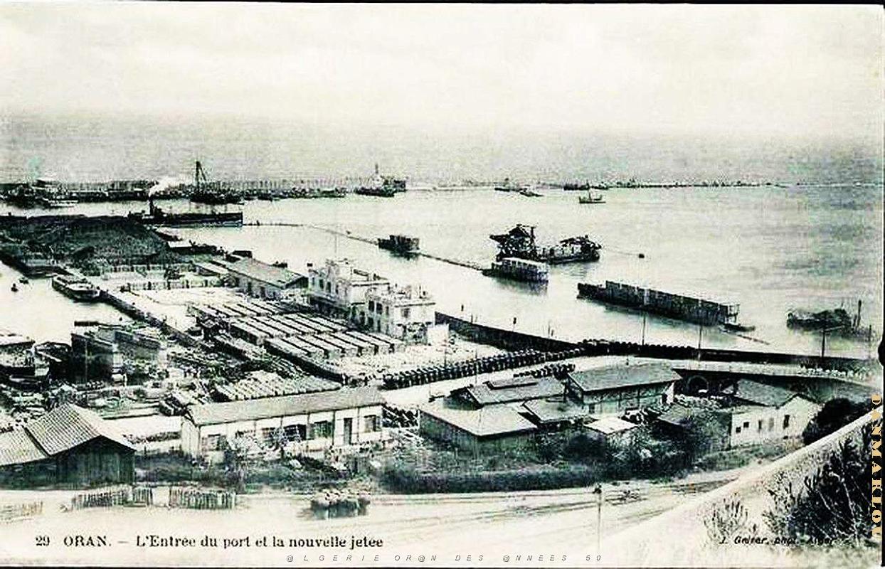 PO e- 196.jpg